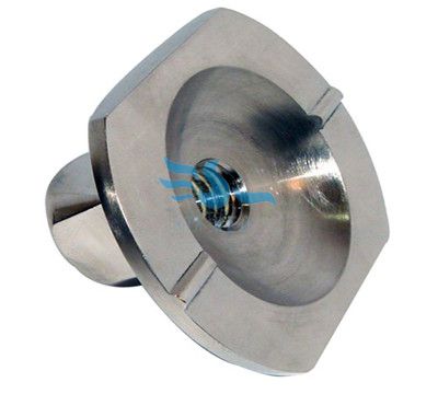 Titanium prosthesis(圖1)