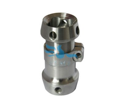 Titanium prosthesis(圖1)