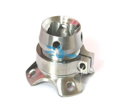 Titanium prosthesis(圖1)