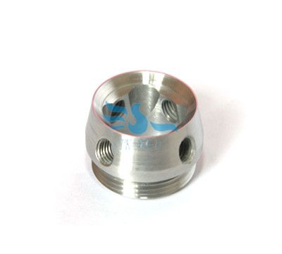 Titanium prosthesis(圖1)