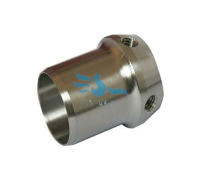 Titanium prosthesis(圖1)